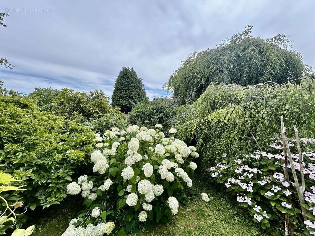 Maison à SAINT-OMER