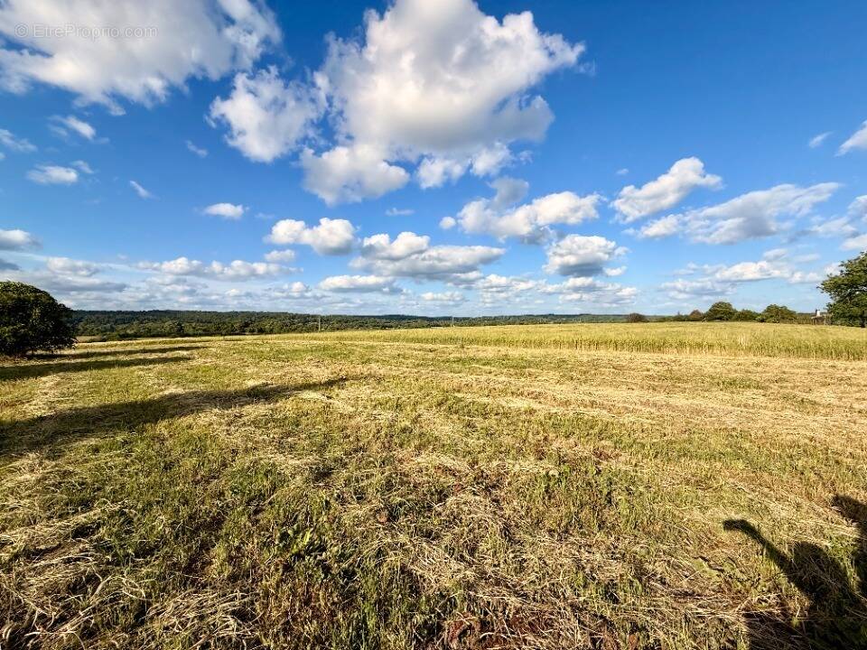 Terrain 1935 m² à Saint-Germain-Et-Mons  - photo 1