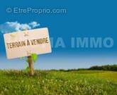 Screenshot_20250428-110842_Google - Terrain à SAINT-MARS-LA-JAILLE