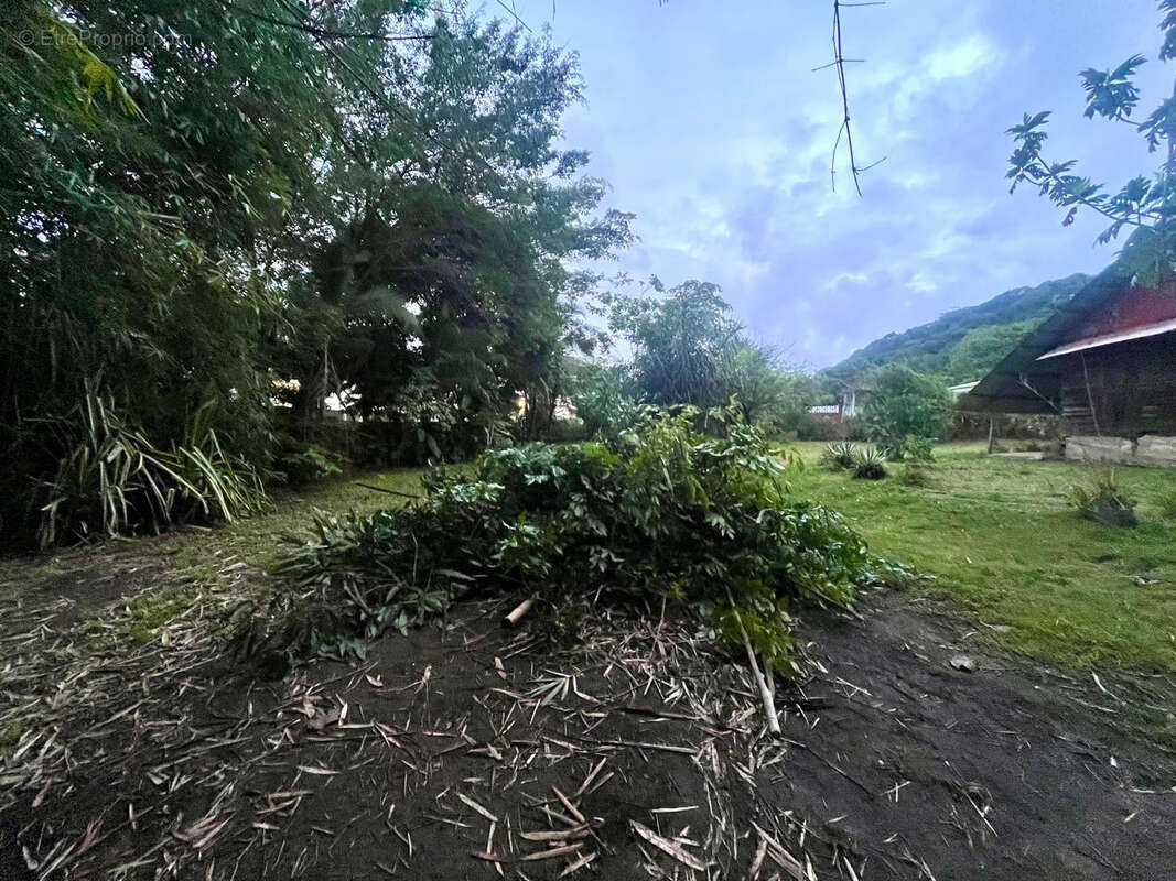 Terrain à REMIRE-MONTJOLY