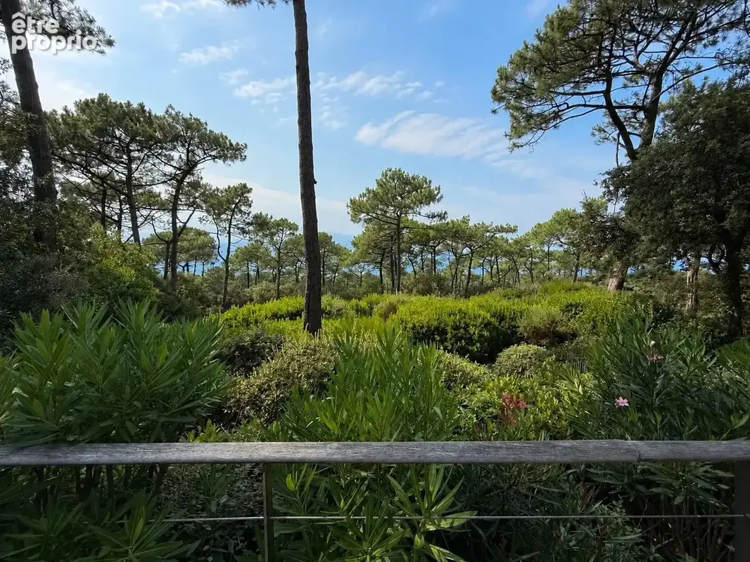 Pyla-sur-mer – l’ermitage – vue dominante sur le bassin - photo 2
