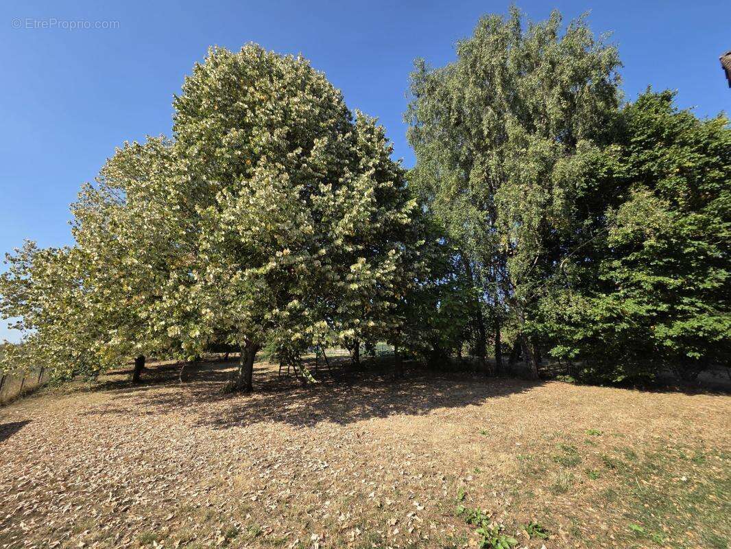 Maison à FONTAINE-NOTRE-DAME