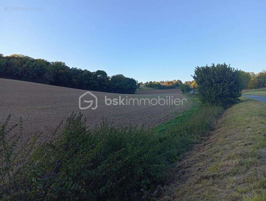Terrain à SAINTE-GENEVIEVE