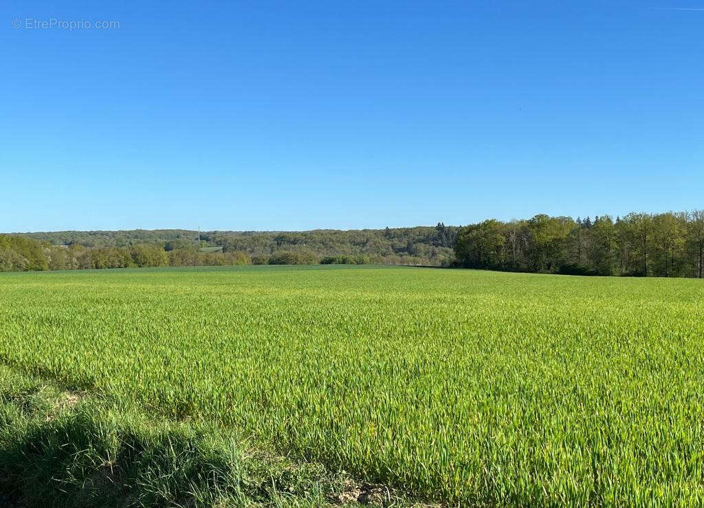 Maison à VILLENEUVE-SUR-YONNE