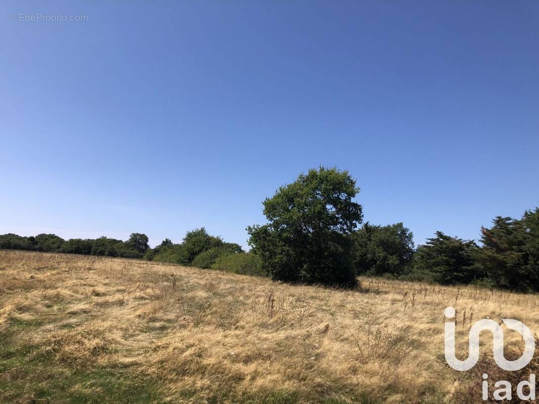 Photo 1 - Terrain à LA BAULE-ESCOUBLAC