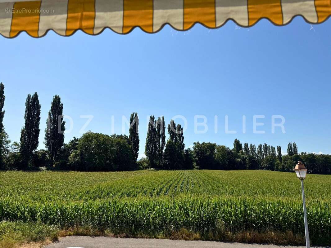 Appartement à HEGENHEIM