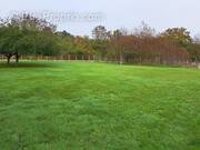 Terrain à SAINT-PAVACE