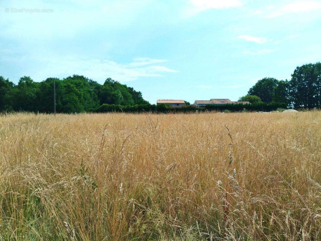 Terrain 1750 m² à Merignac  - photo 2