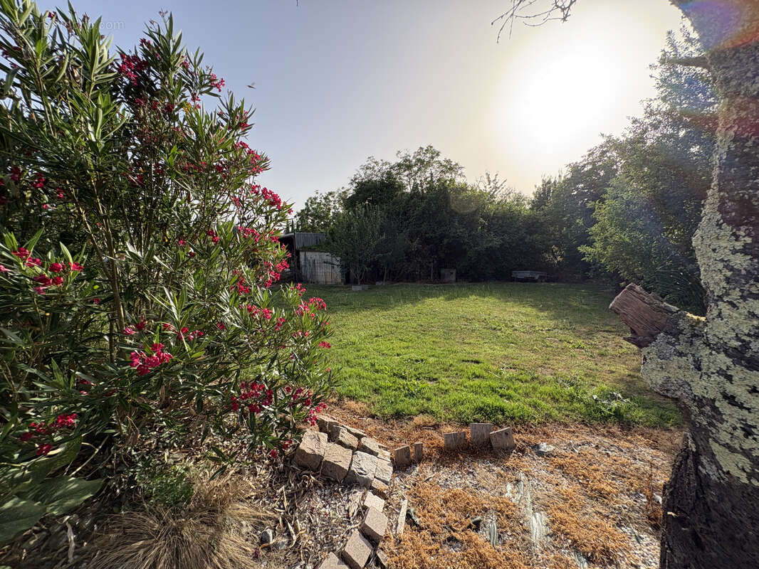 Maison 5 chambres - photo 19