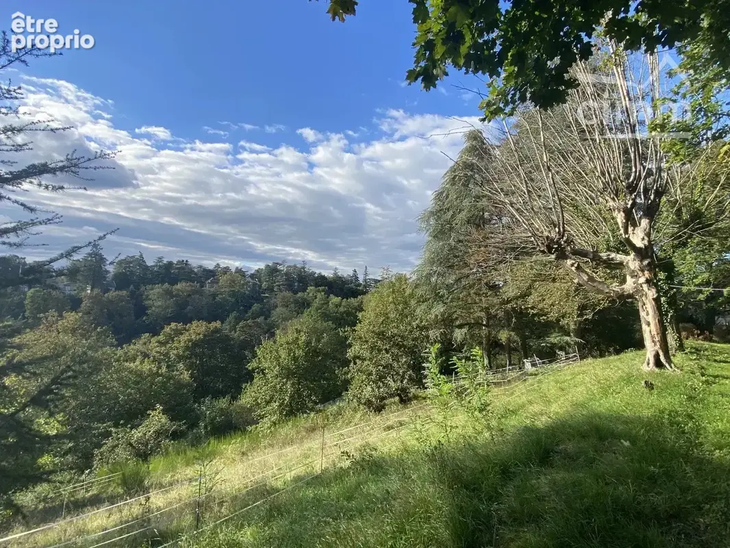 Rare propriété 240m², cave 110m², terrain 16000m² - photo 3