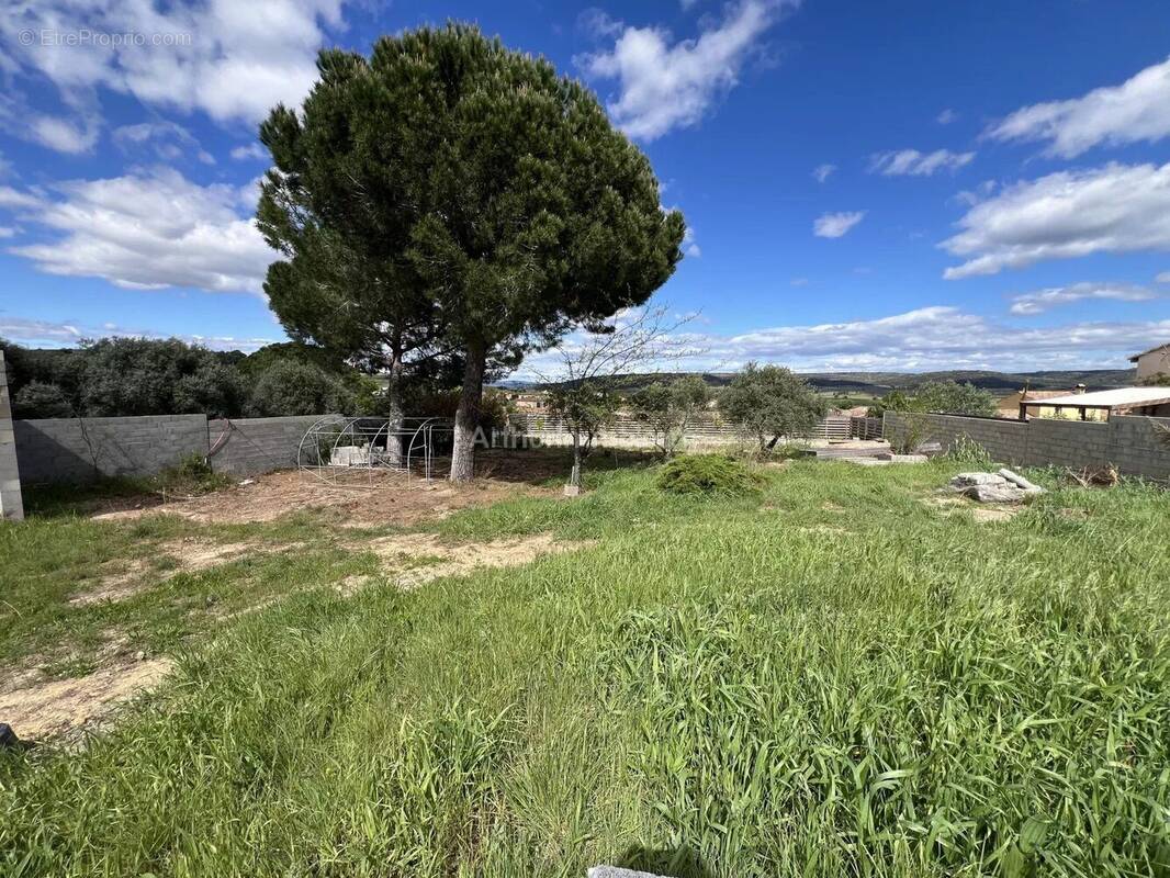 Terrain à LE POUGET
