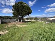 Terrain à LE POUGET