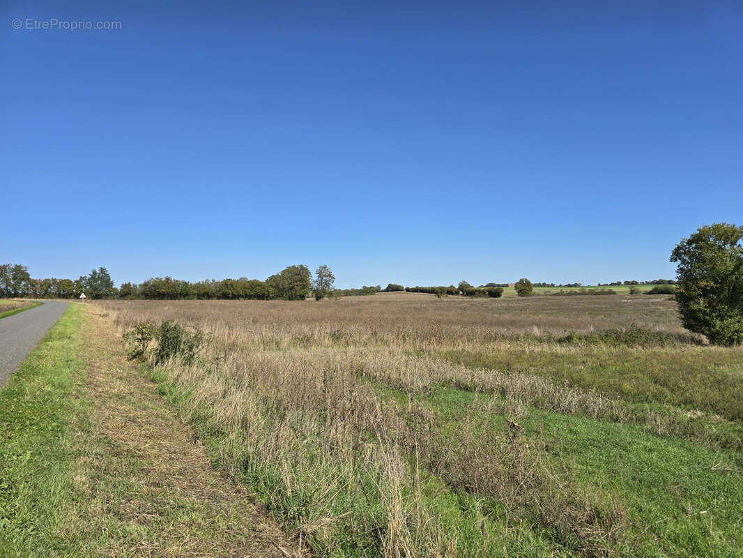Terrain à NEUILLY-EN-DUN