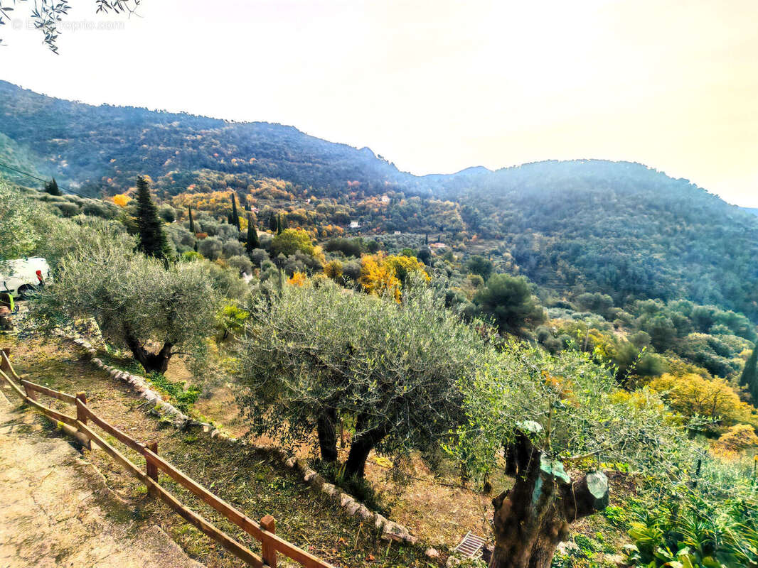 Photo 4 - Maison à L'ESCARENE