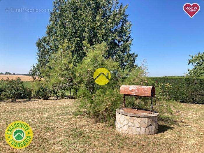 Campagnarde au calme - photo 17