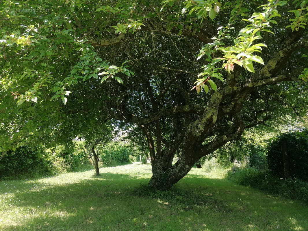 Maison à LOCMARIAQUER