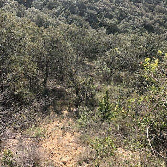 Photo 2 - Terrain à SAINT-BONNET-DU-GARD