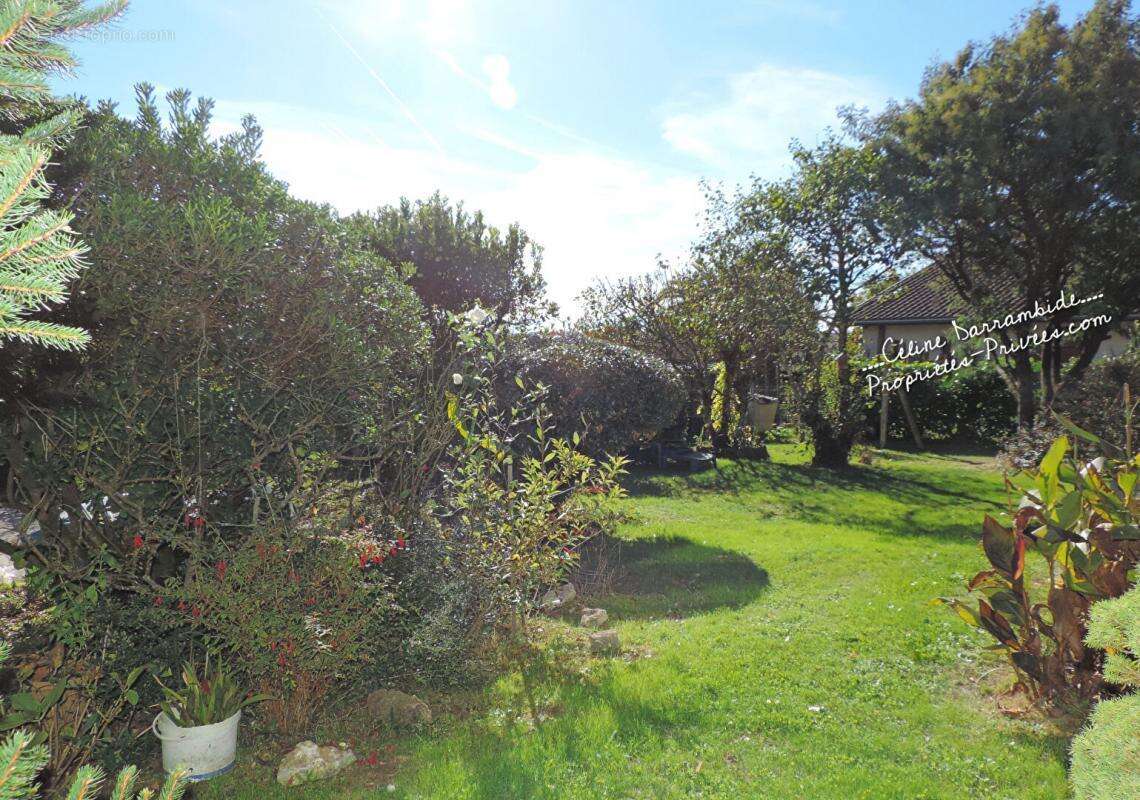 Maison à TERCIS-LES-BAINS