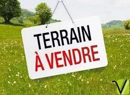 Terrain - 250m ² - photo 7
