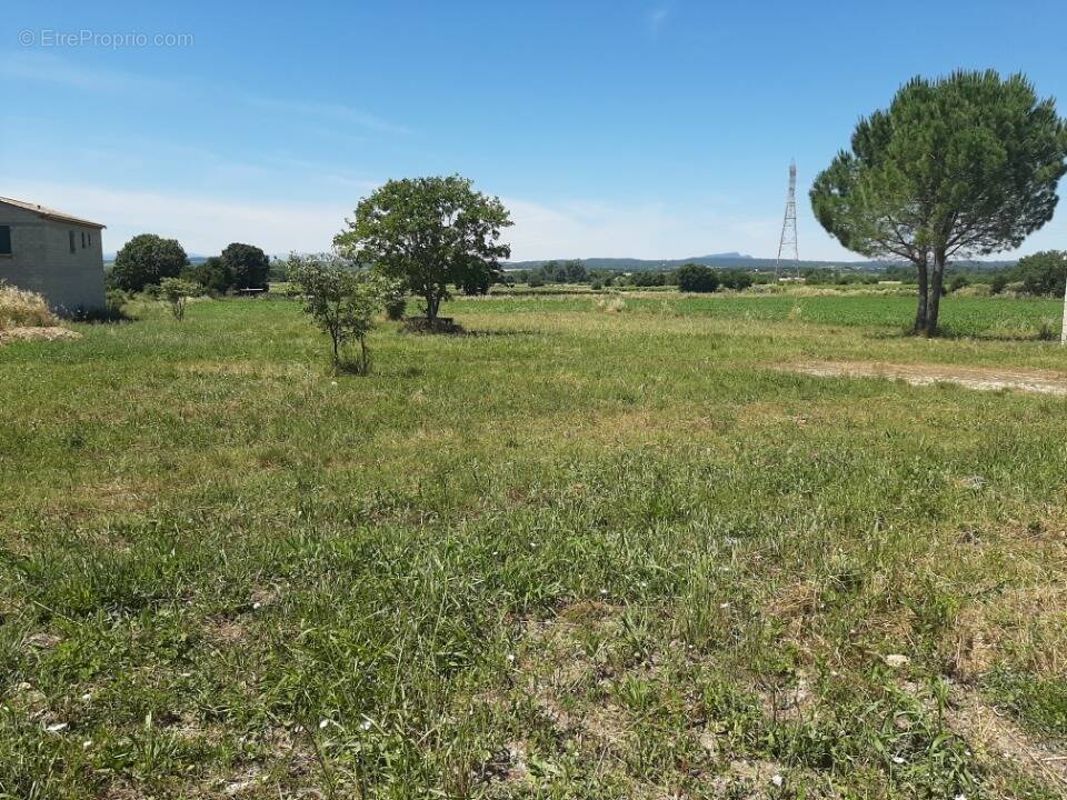 Terrain à SAINTE-ANASTASIE