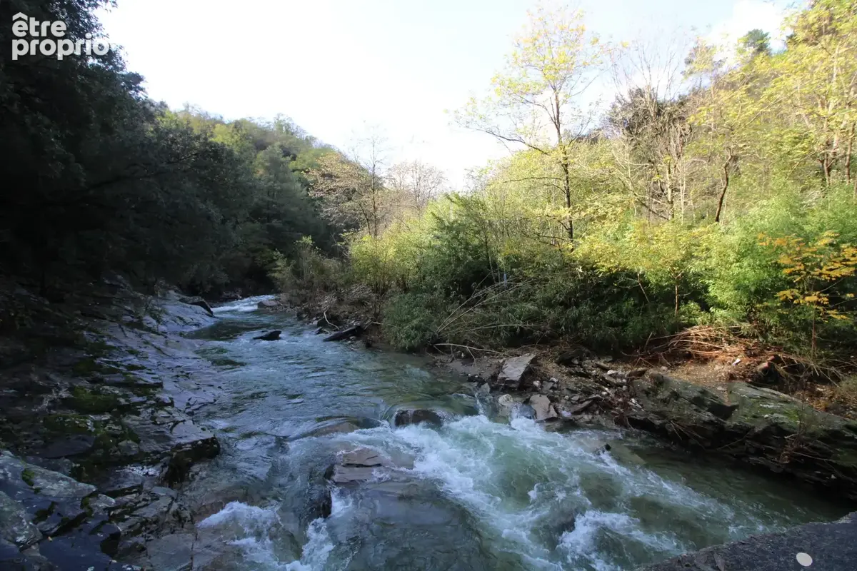 MAS 360 de volume + 25 hectares. - photo 38