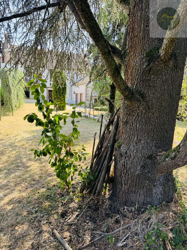 Maison bourgeoise au coeur d'egreville - photo 26