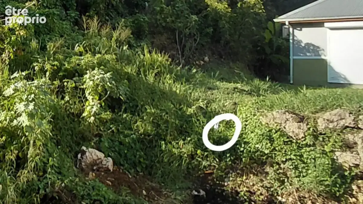 A VENDRE : Terrain de 1281m² aux Abymes (97139) - photo 4