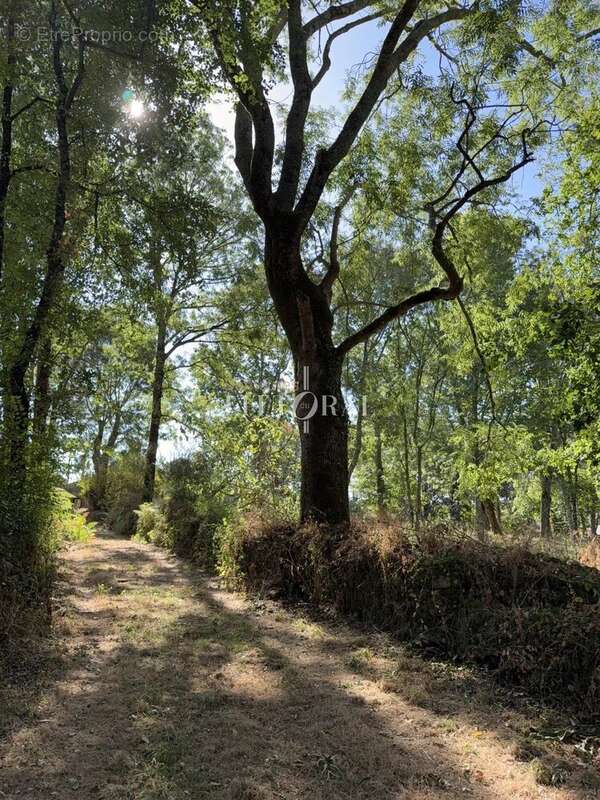 Propriété de caractère du XIXᵉ siècle au cœur d'un parc arboré, entre plages et golf - photo 47