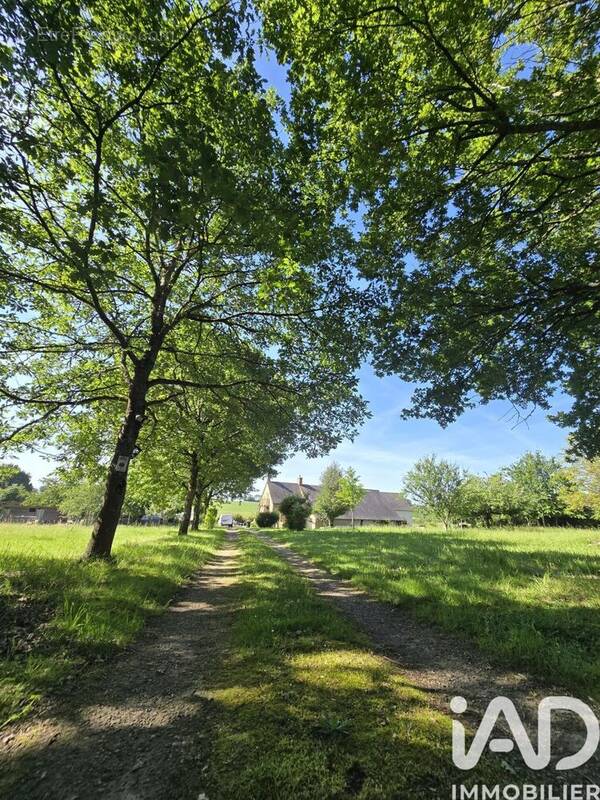 Photo 1 - Maison à JUPILLES