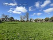 Terrain à DAINVILLE