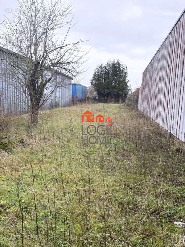 Maison à LOOS-EN-GOHELLE