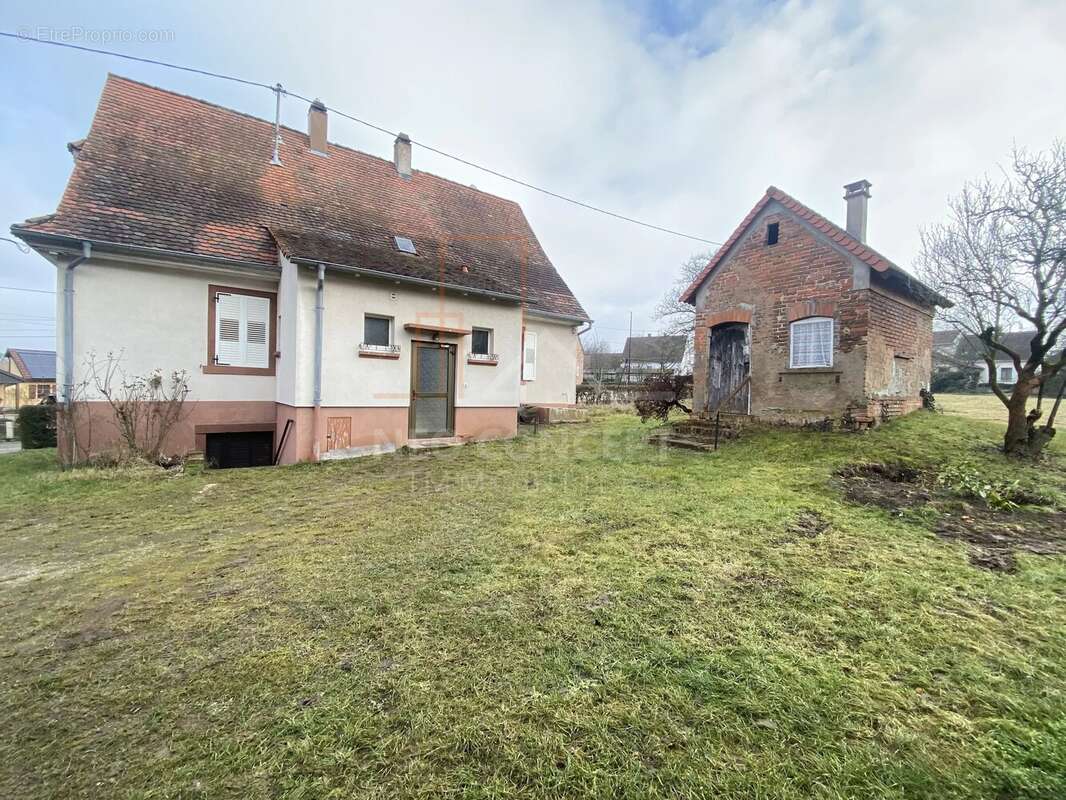 Maison à RIEDSELTZ