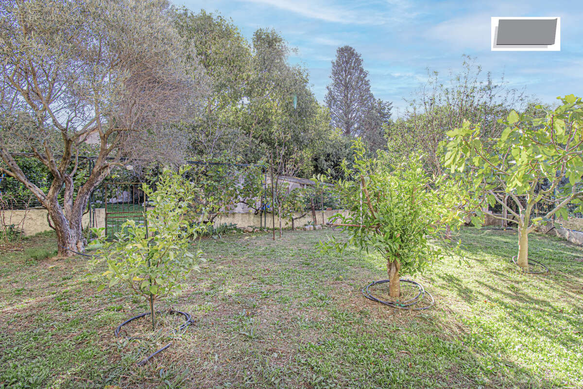 Appartement à OLLIOULES