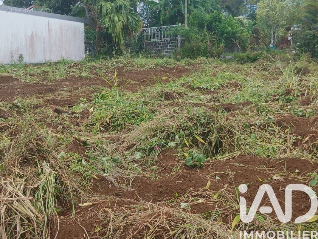 Photo 1 - Terrain à SAINT-PAUL