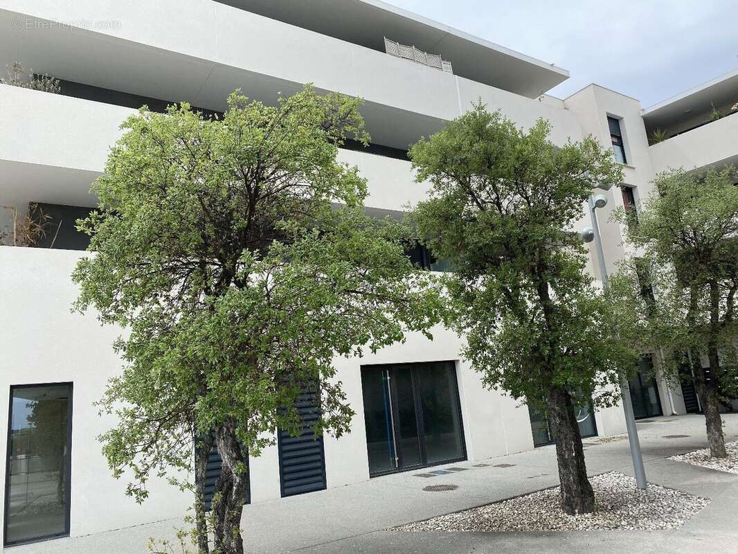 Commerce à CABESTANY