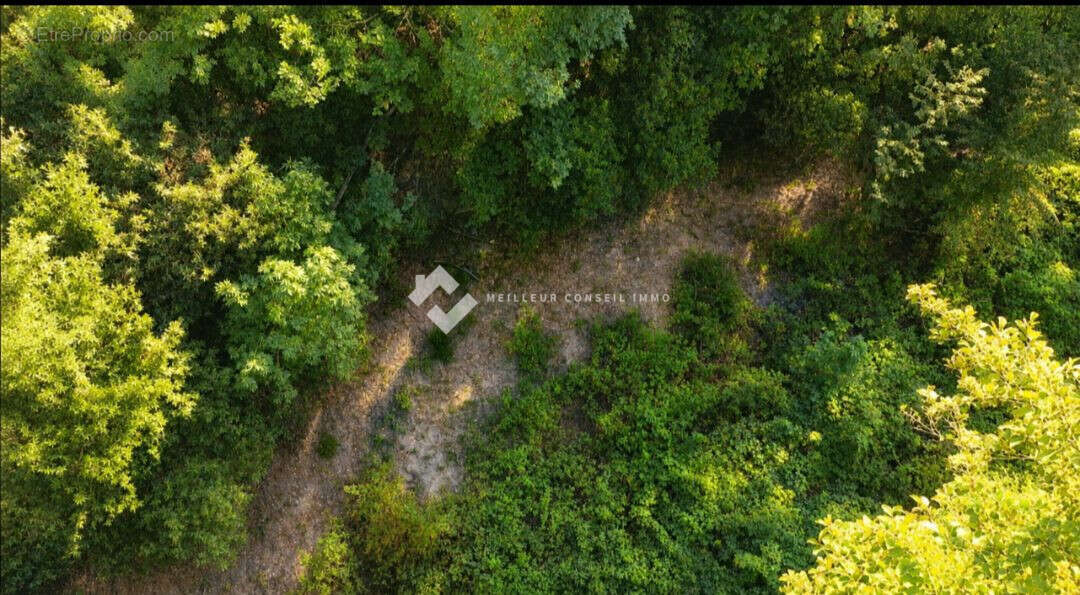 Terrain 1212 m² à Pruno  - photo 6