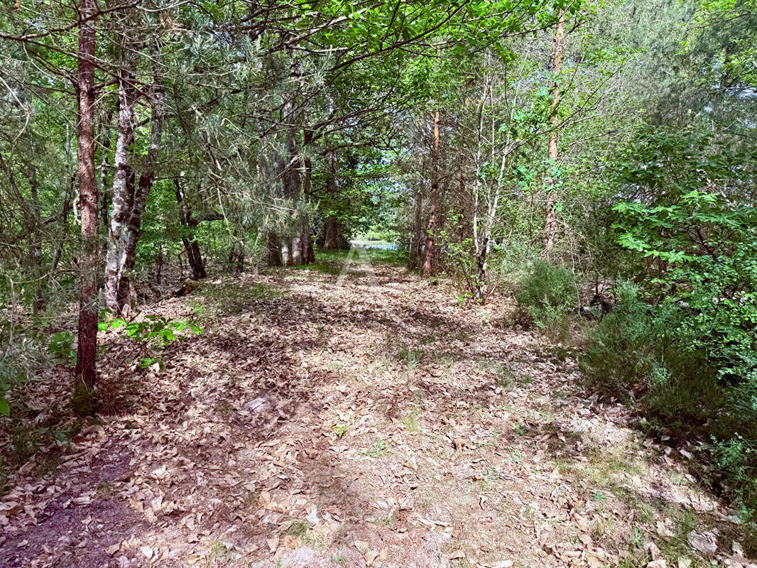 Terrain à ROMORANTIN-LANTHENAY