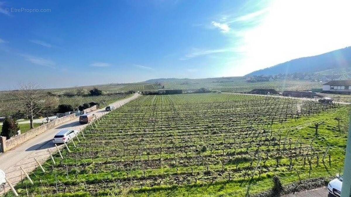 Photo 1 - Appartement à RIQUEWIHR