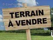Photo 1 - Terrain à MORANGIS