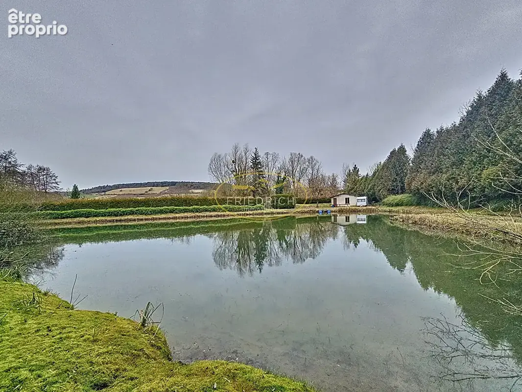 Terrain de loisirs avec etang et maisonnette - photo 7