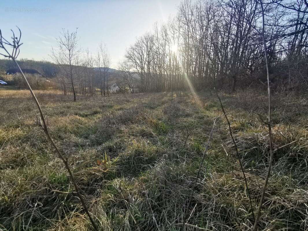 Terrain constructible cazals - photo 7