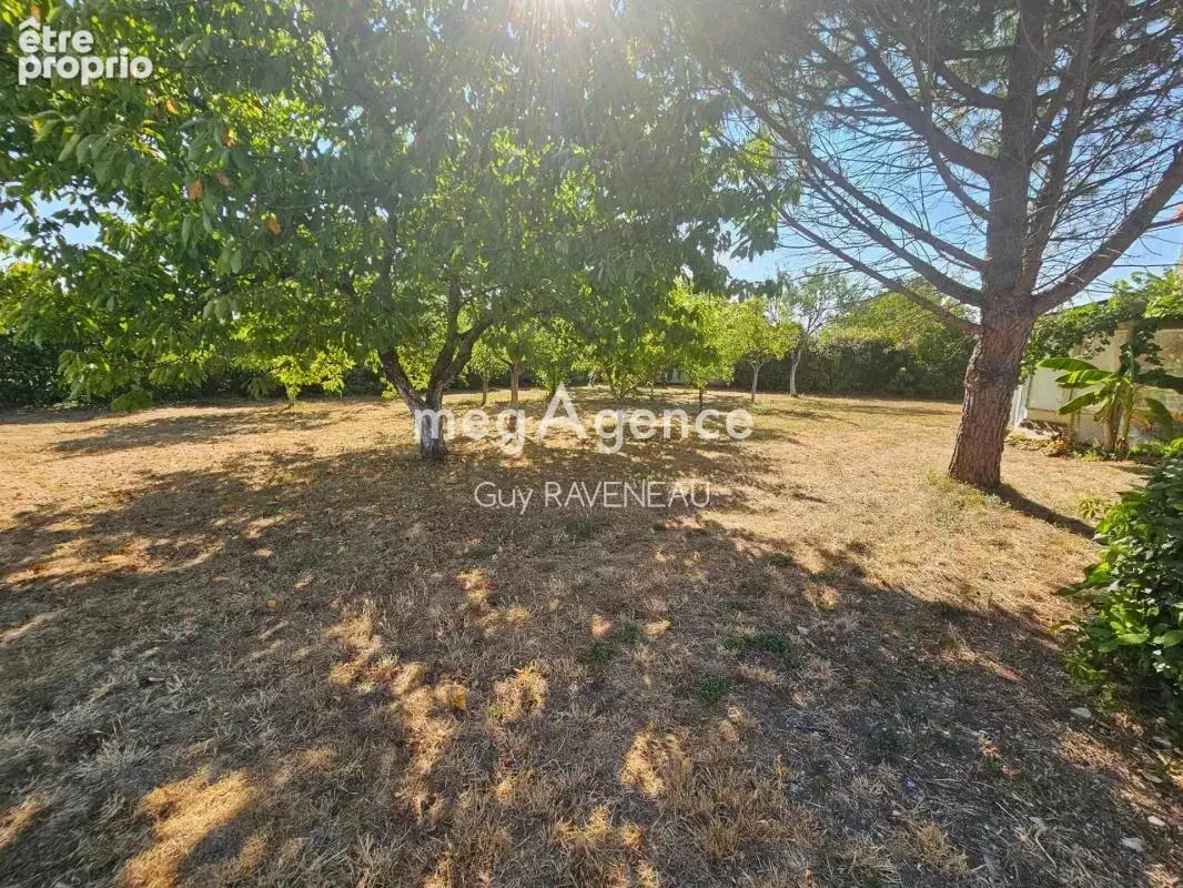 Aux portes de Loudun – Élégante longère de caractère, entièrement rénovée, avec dépendances, verger et potentiel de gîte - photo 15