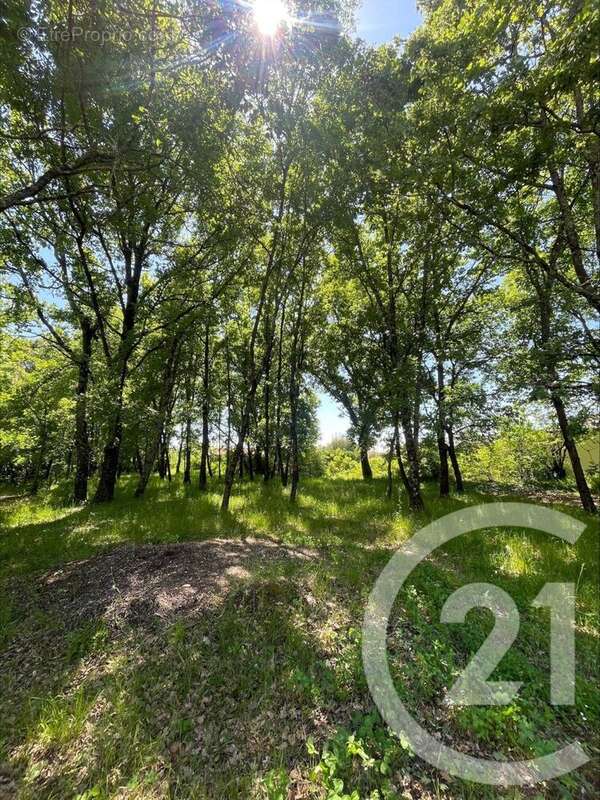 Terrain à MONTAUBAN