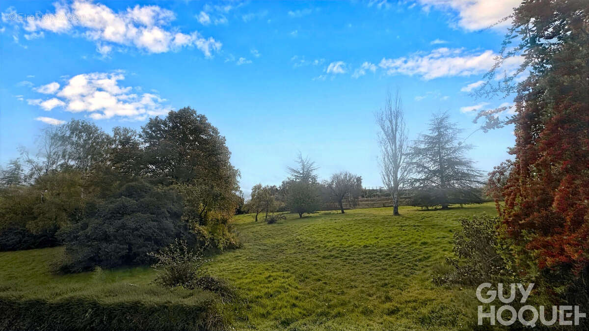 Maison à MIGNE-AUXANCES