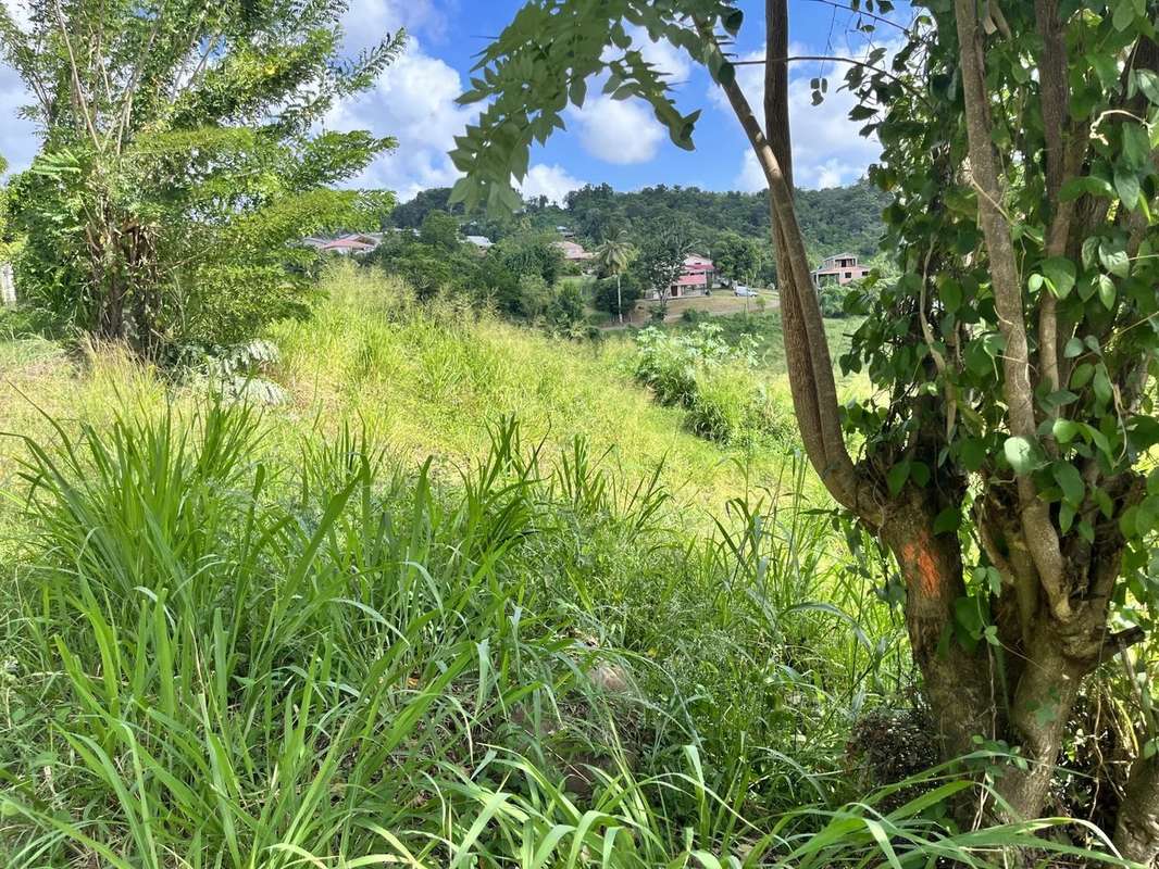 Terrain à RIVIERE-SALEE