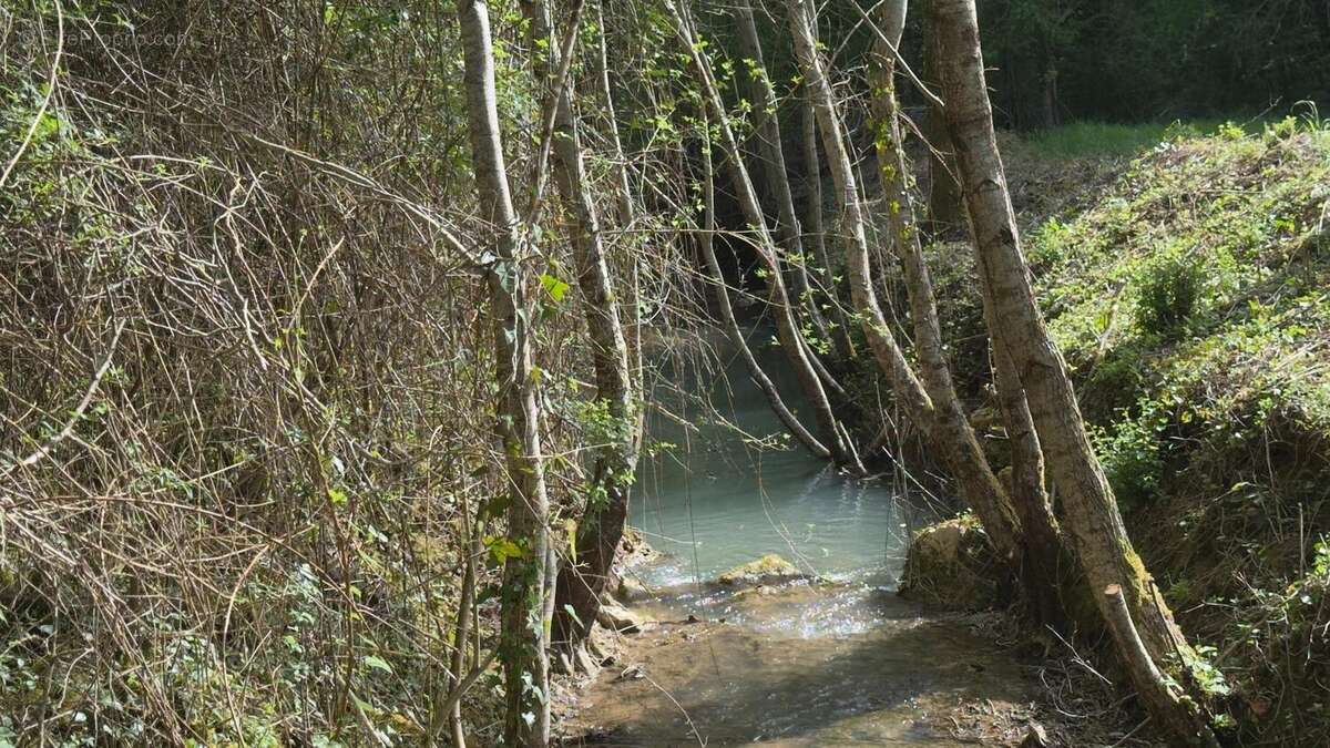 Photo 3 - Terrain à LES EYZIES-DE-TAYAC-SIREUIL