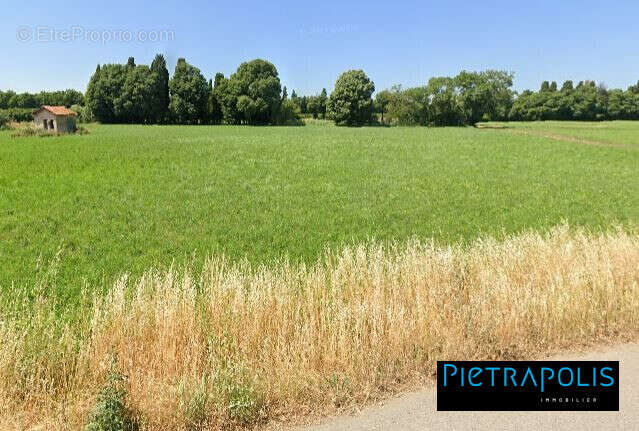 Terrain 9600 m² à Grans  - photo 3