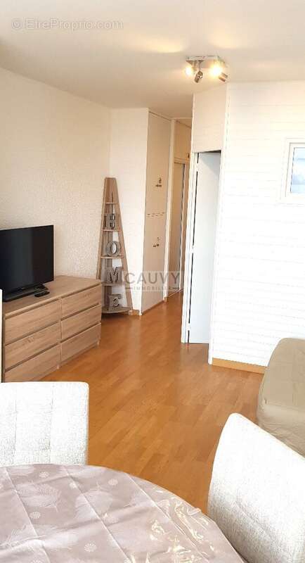 Appartement à VILLENEUVE-D'OLMES