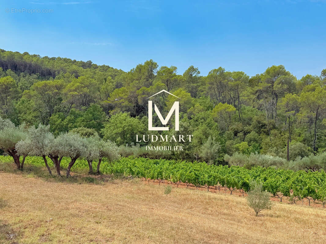 Lorgues   Domaine provençal de 11 hectares avec deux maisons indépendantes, deux piscines, vignoble AOP et oliveraie - photo 17