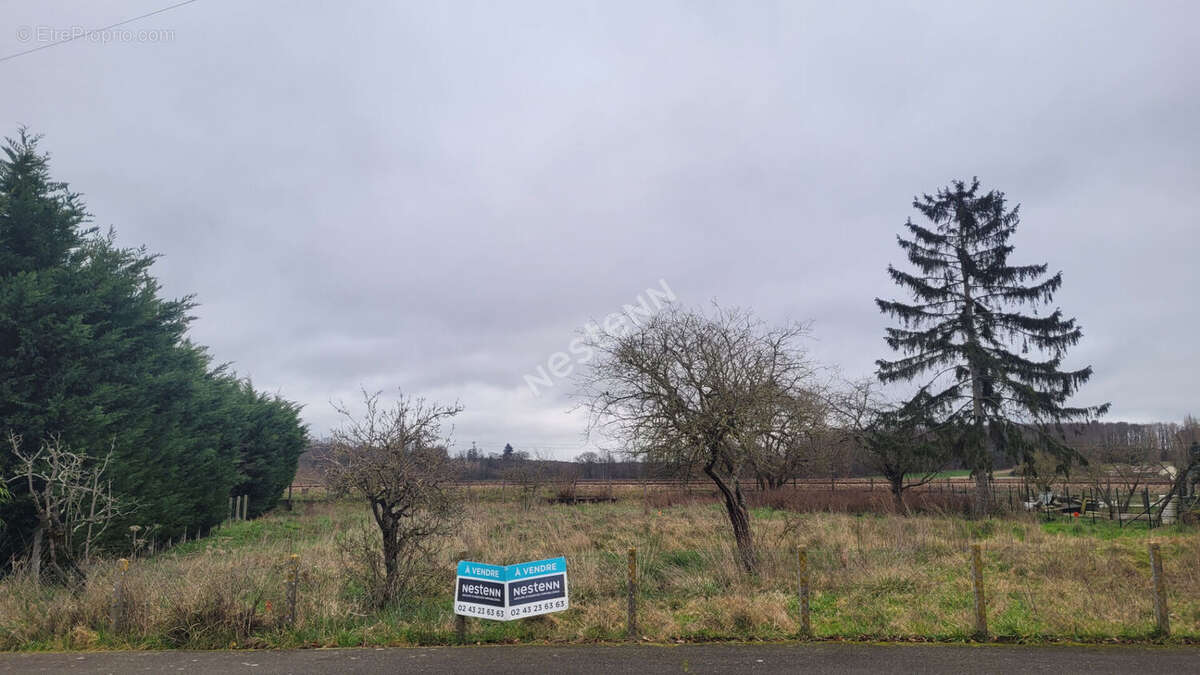 Terrain à NEUVILLE-SUR-SARTHE